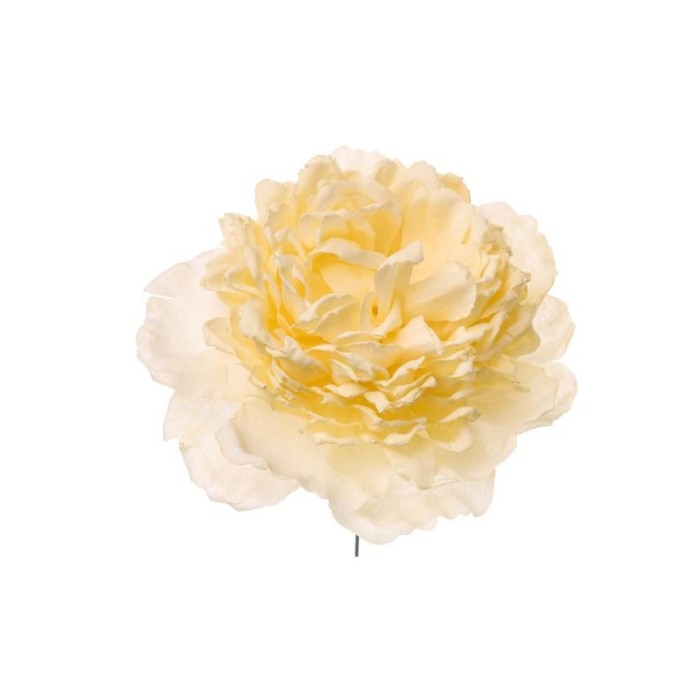 PICK PEONIA CM12 CREMA